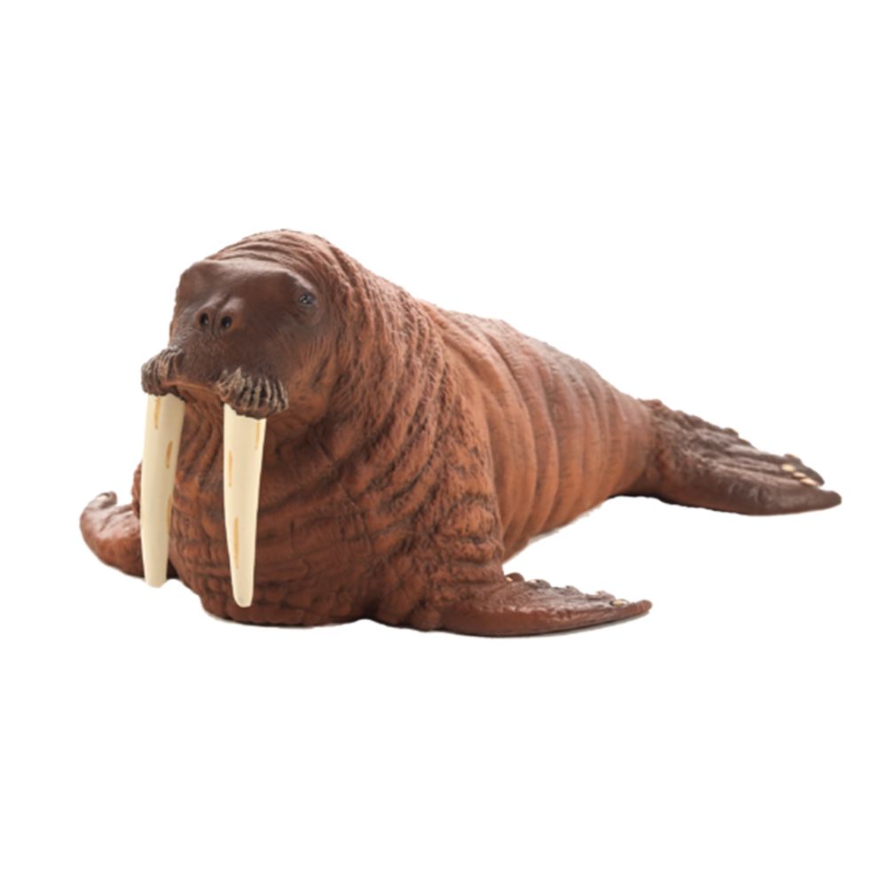Mojo ANIMAL PLANET, Фигурка за игра и колекциониране, Морж