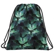 Спортна торба, Dragon