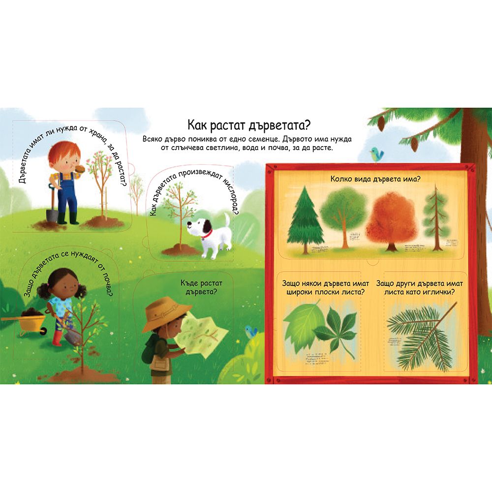 Защо са ни нужни дърветата? Погледни под капачето!