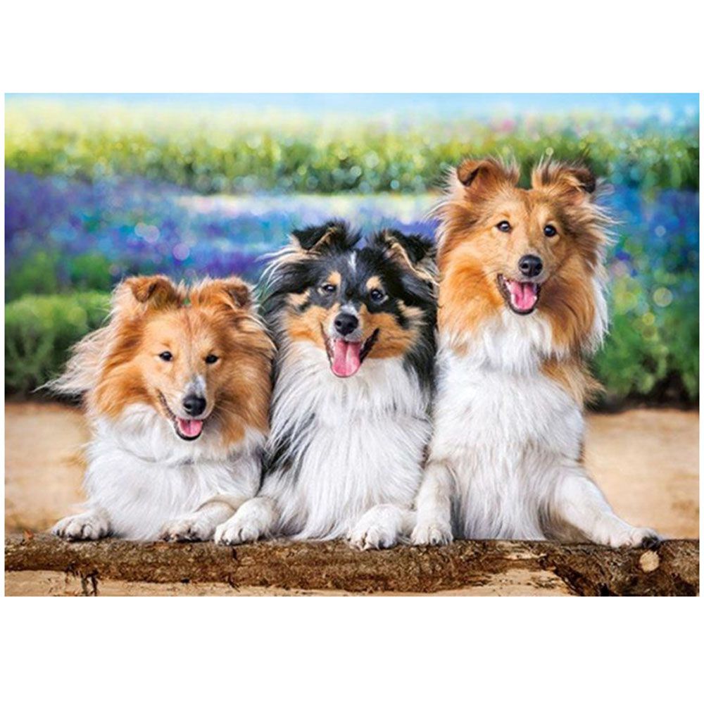 Шелти в лавандуловата градина, пъзел 200 части