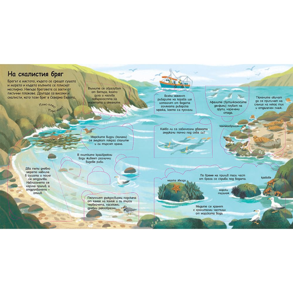 Морета и океани