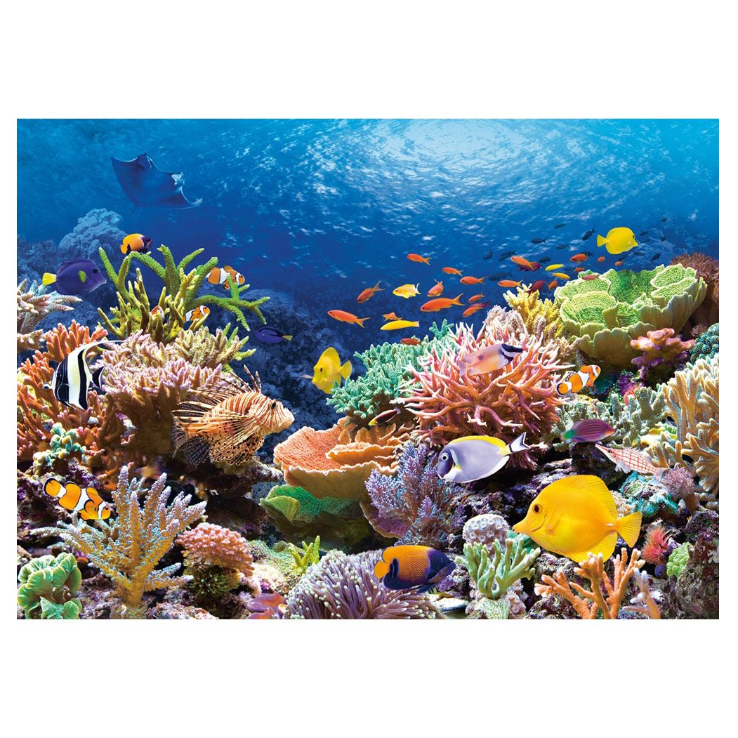 Коралов риф, пъзел 1000 части
