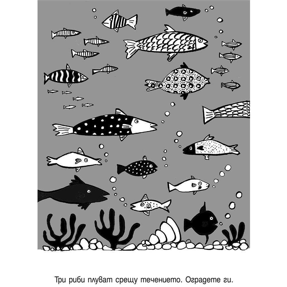 Открий разликите! Намери грешките! Синя книжка