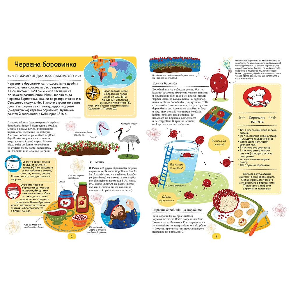 Растения, които ни хранят. Къде растат? Как се отглеждат? Как се приготвят?