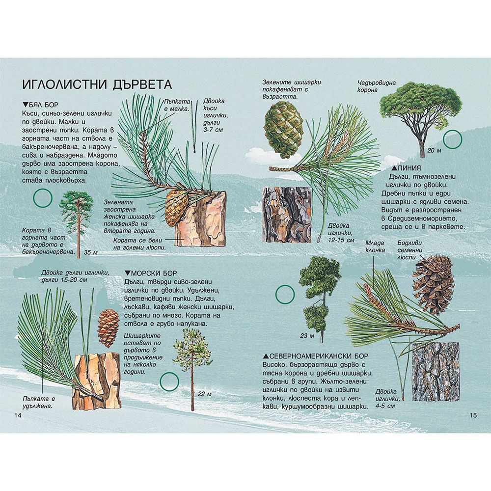 Справочник на наблюдателя, Дърветата