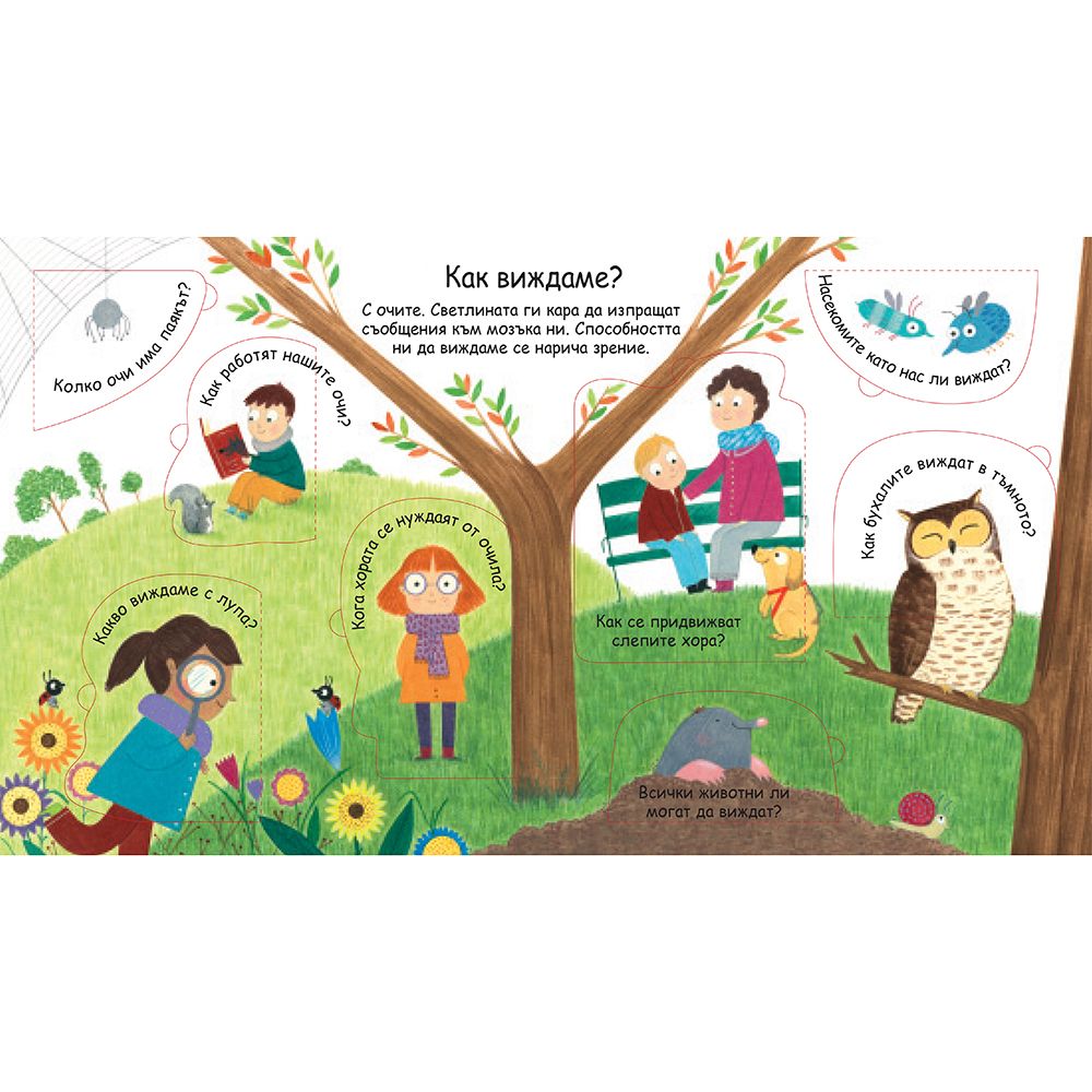 Как виждаме, как чуваме? Погледни под капачето!