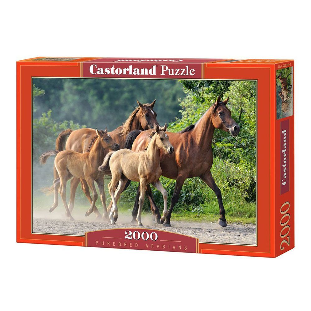 Castorland, Породисти арабски коне, пъзел 2000 части