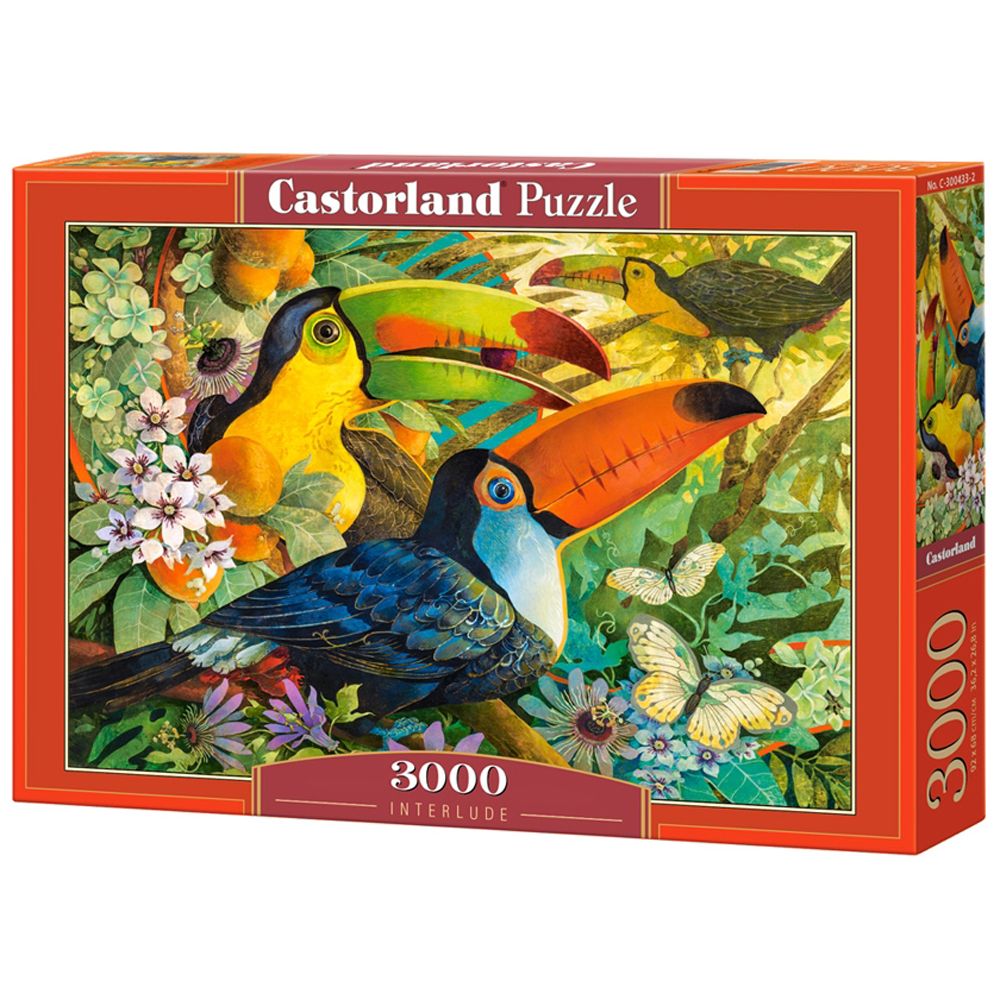Castorland, Птици тукани, пъзел 3000 части