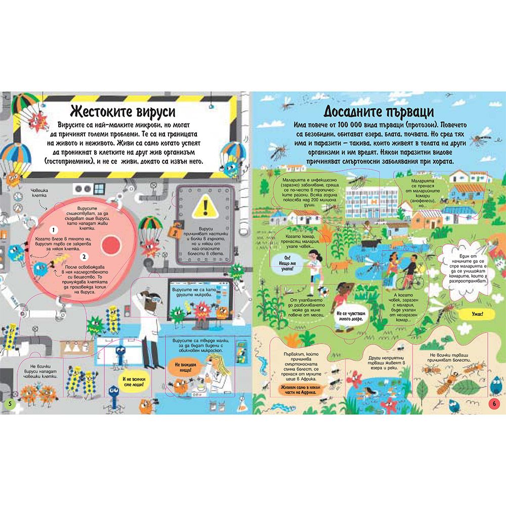 Разгледайте отвътре! Микробите