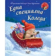 Една специална Коледа