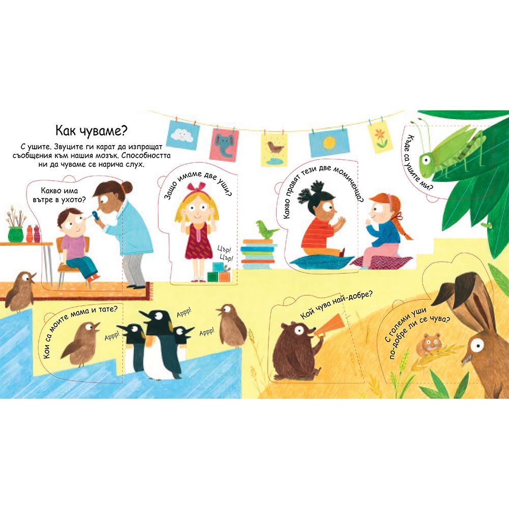 Как виждаме, как чуваме? Погледни под капачето!