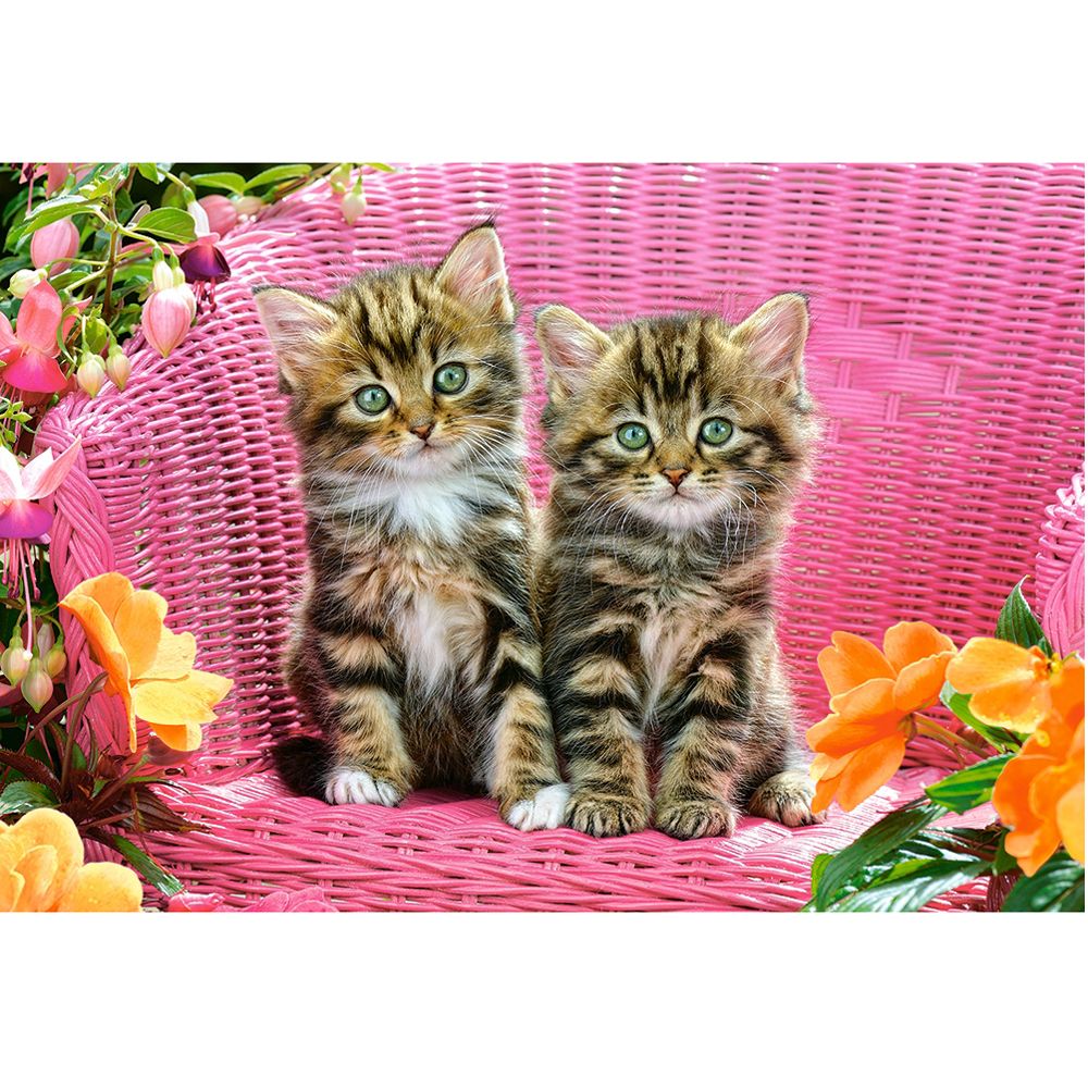 Котета на градински стол, пъзел 1000 части
