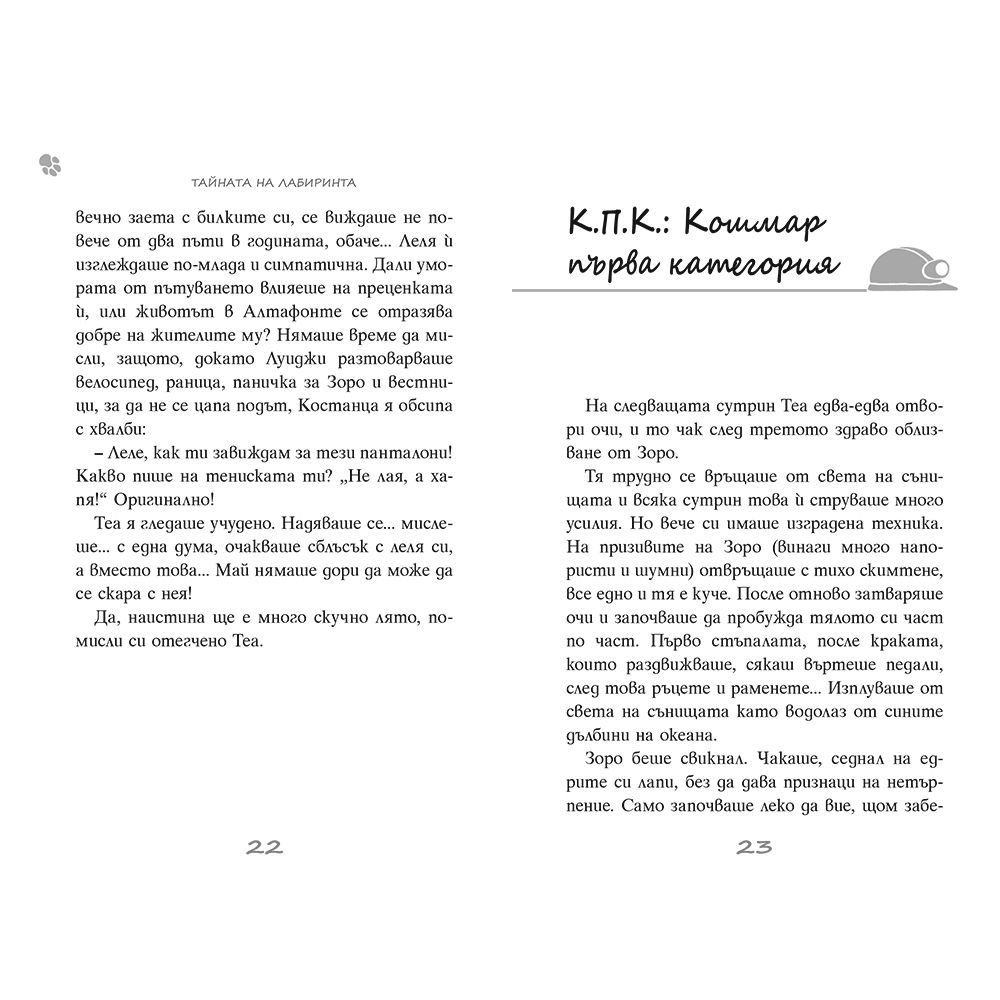 Тайната на лабиринта