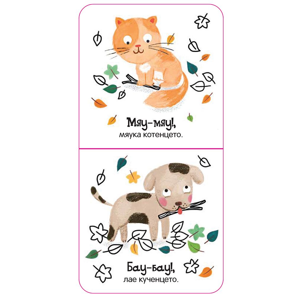 Здравей, мило коте!