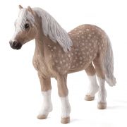 Уелско пони