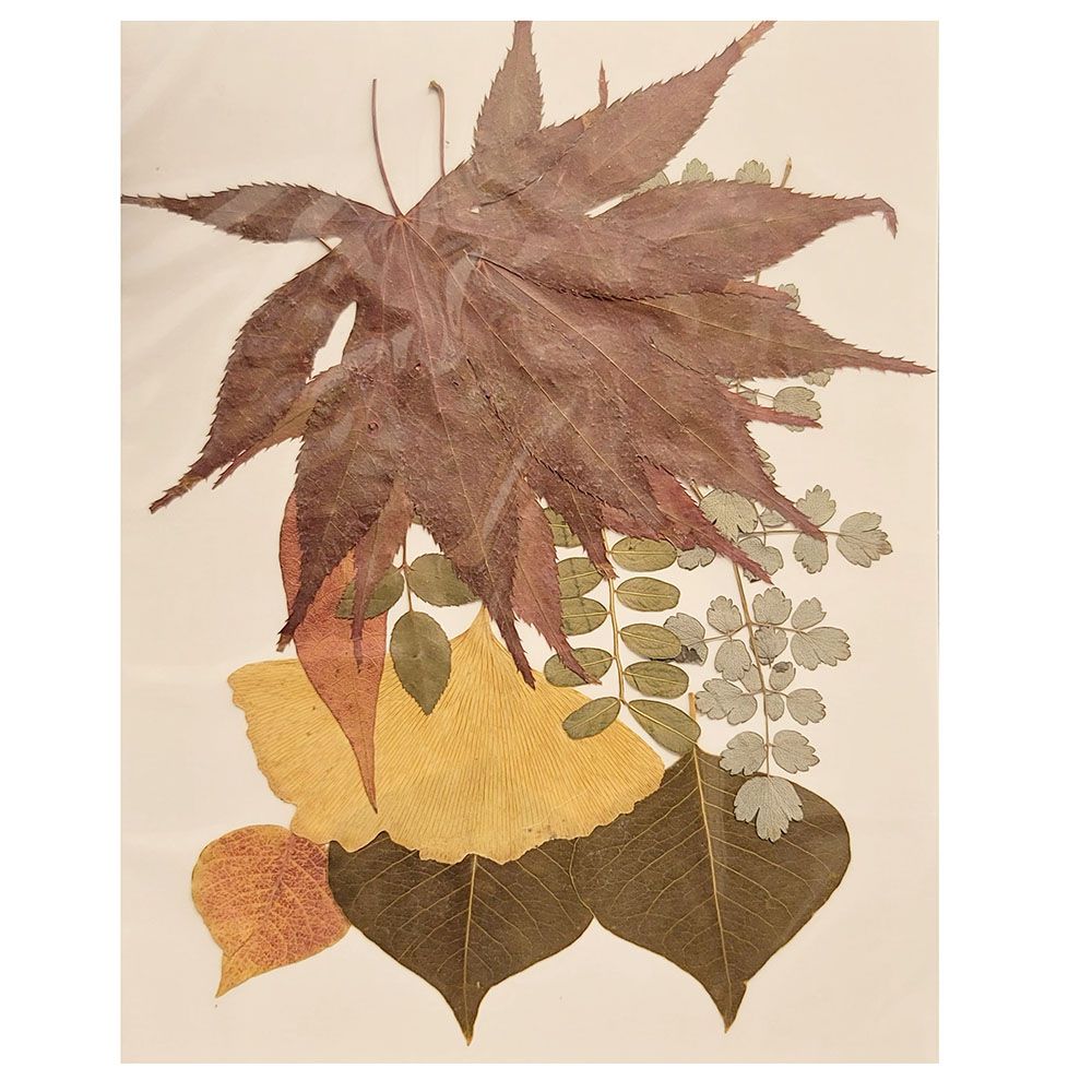 Колажи с листа