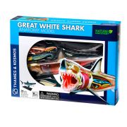 Голяма бяла акула, анатомичен модел