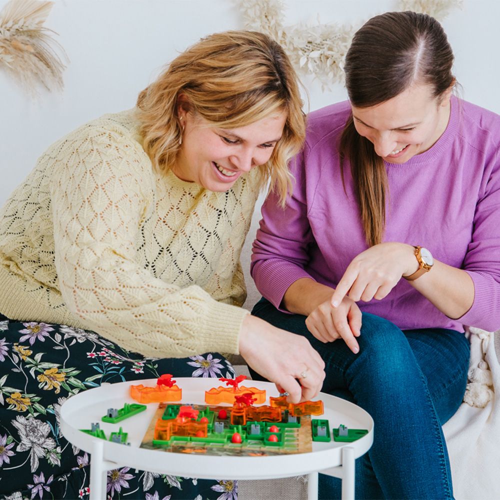 Логическа игра, Долината на драконите