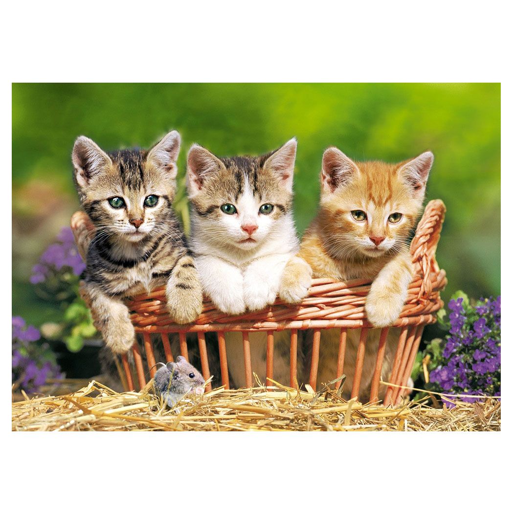 Красиви котенца, пъзел 500 части