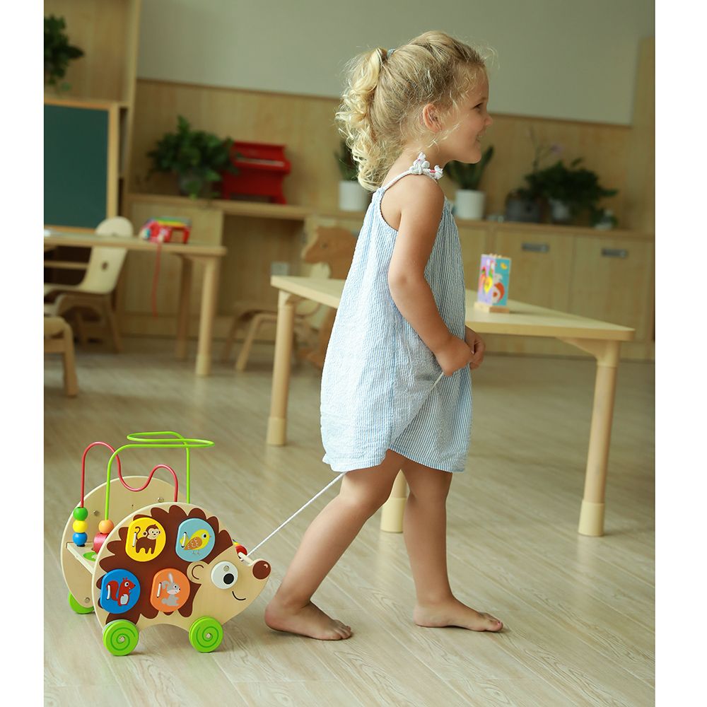 Таралежче за дърпане, 4 в 1