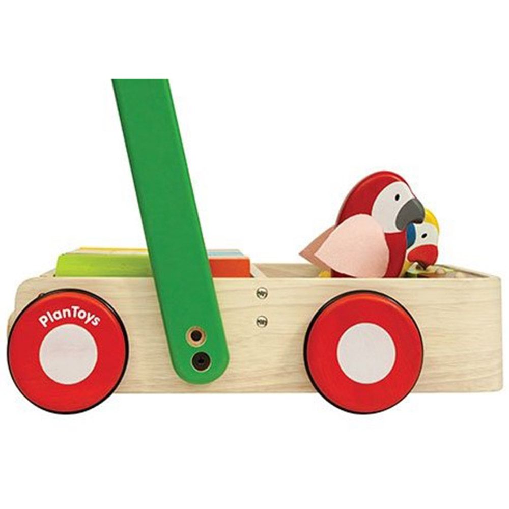 Дървена проходилка с конструктор, Шарени папагали