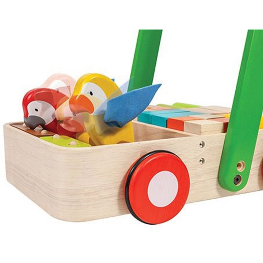 Дървена проходилка с конструктор, Шарени папагали