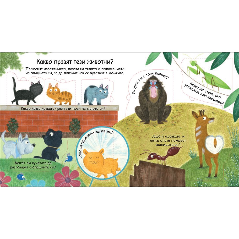 Как разговарят животните? Погледни под капачето!