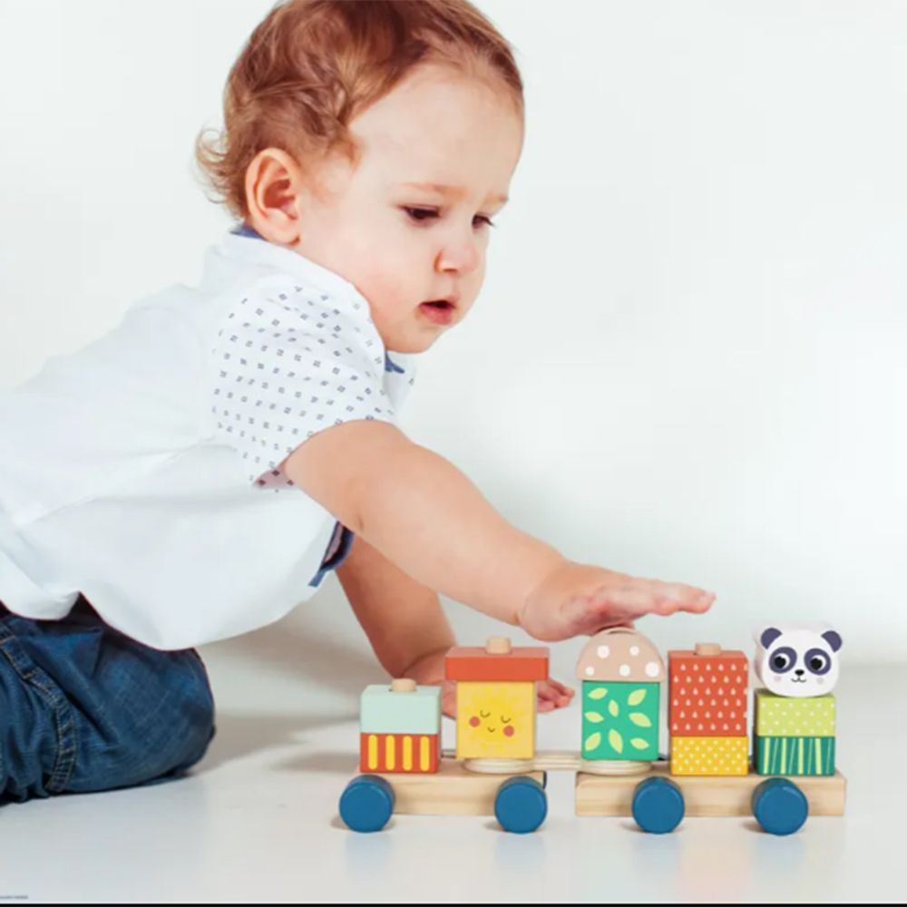 Дървено дидактическо влакче, Панда