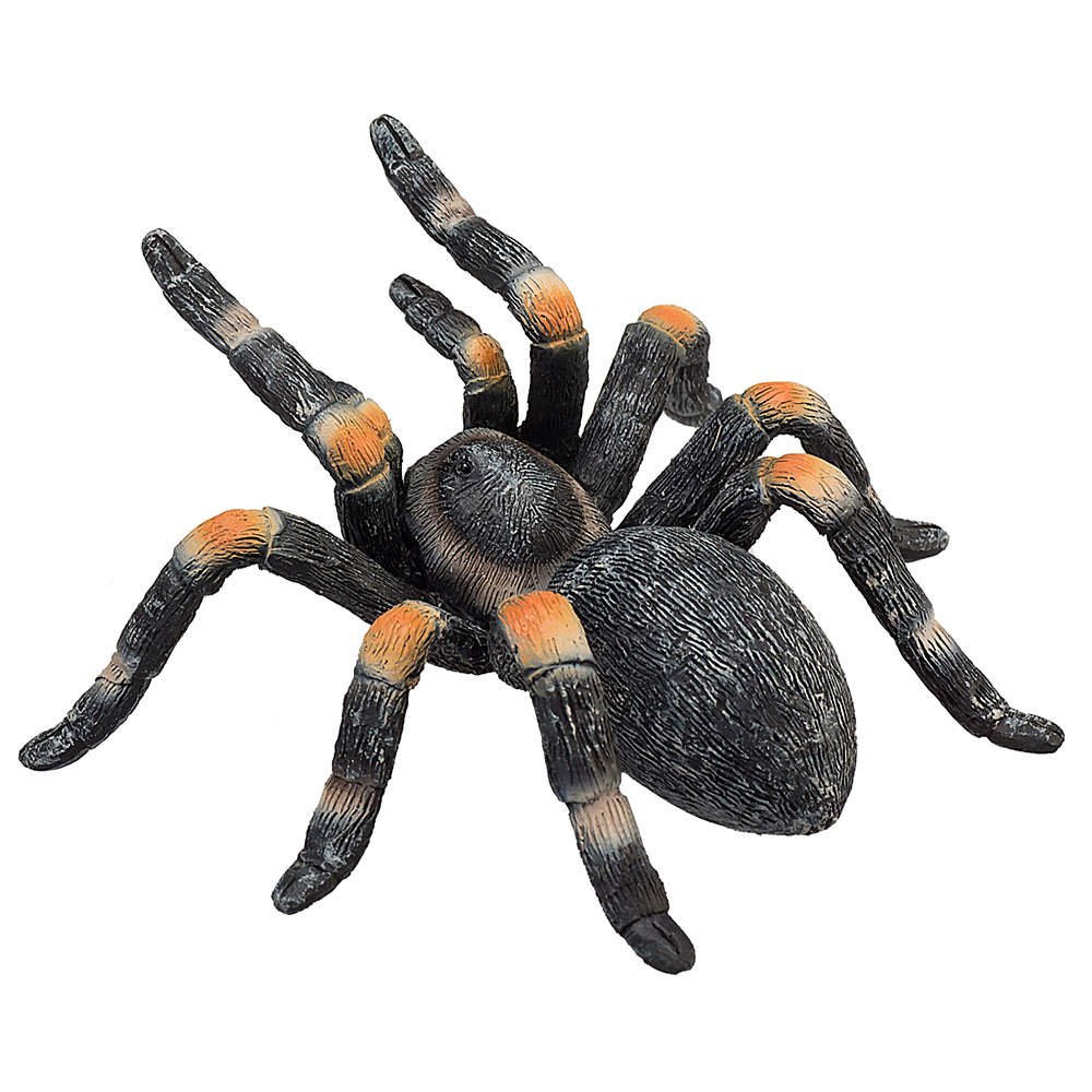 Mojo ANIMAL PLANET, Фигурка за игра и колекциониране, Мексиканска червеноколенеста тарантула