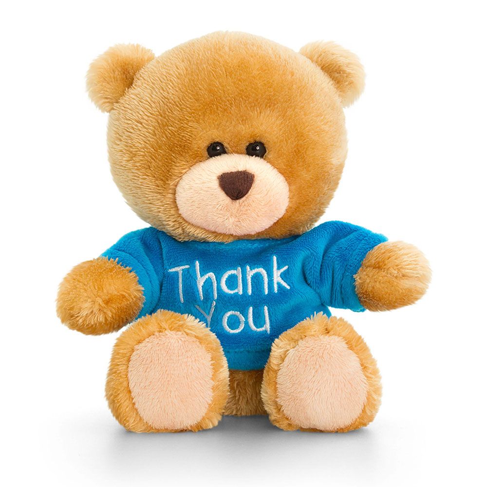 Keel Toys, S0307, Плюшено мече със синя тениска Thank you