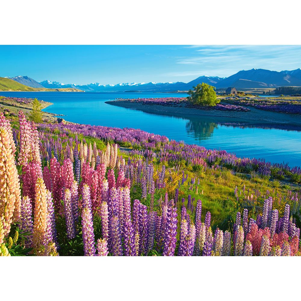 Езерото Текапо, Нова Зеландия, пъзел 500 части