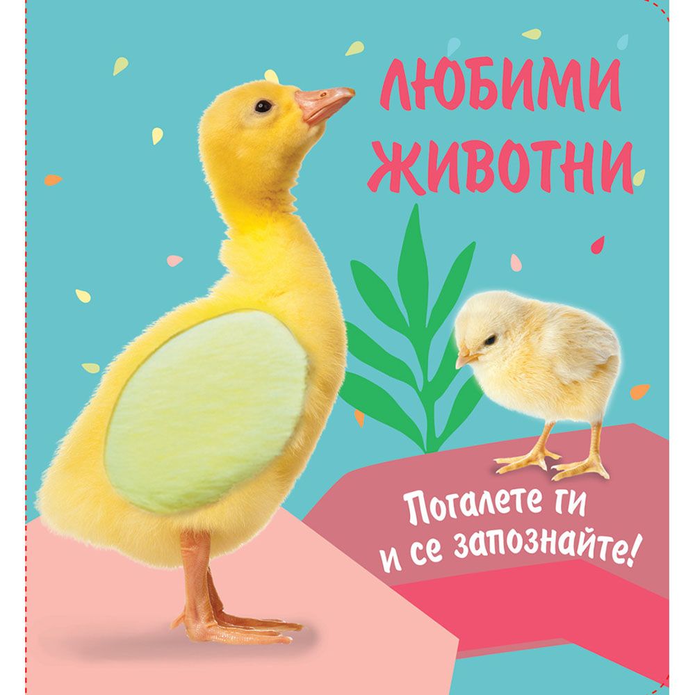 Погалете ги и се запознайте!, Любими животни, Пате, Издателство Фют