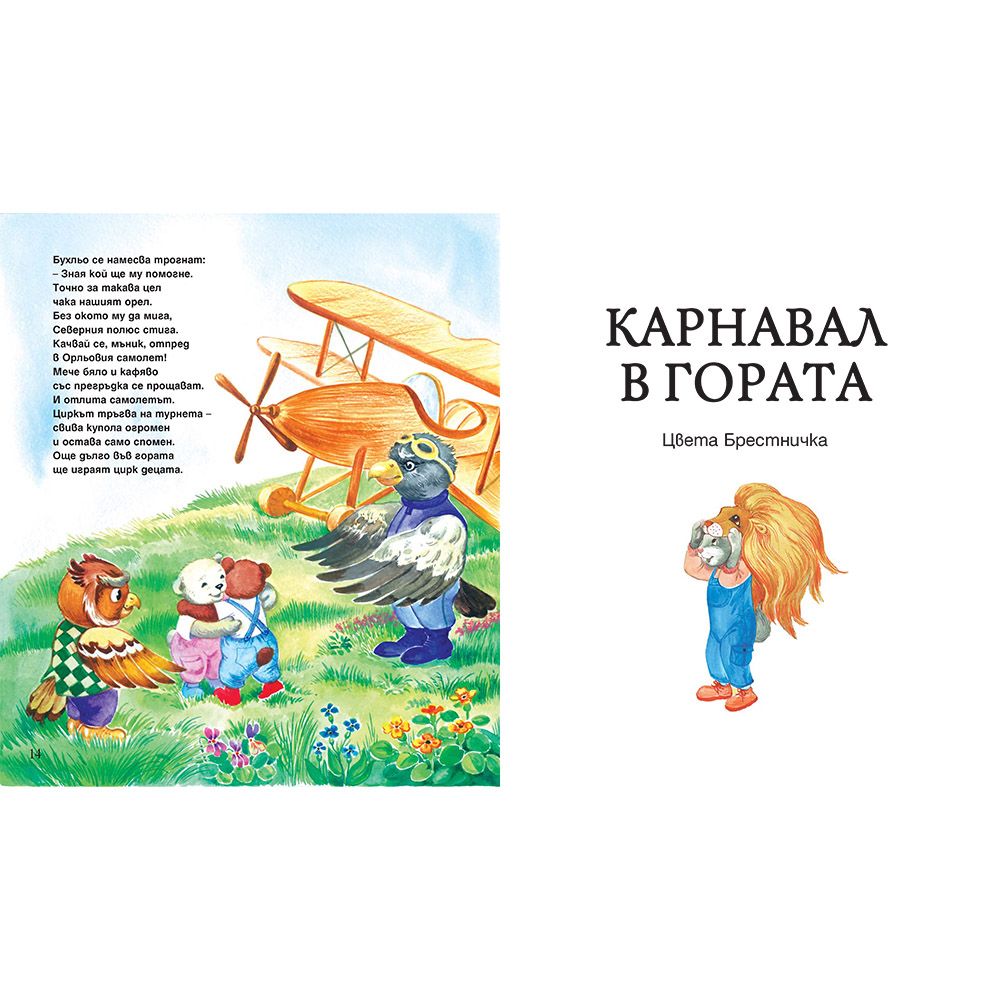 Цирк в гората, Карнавал в гората