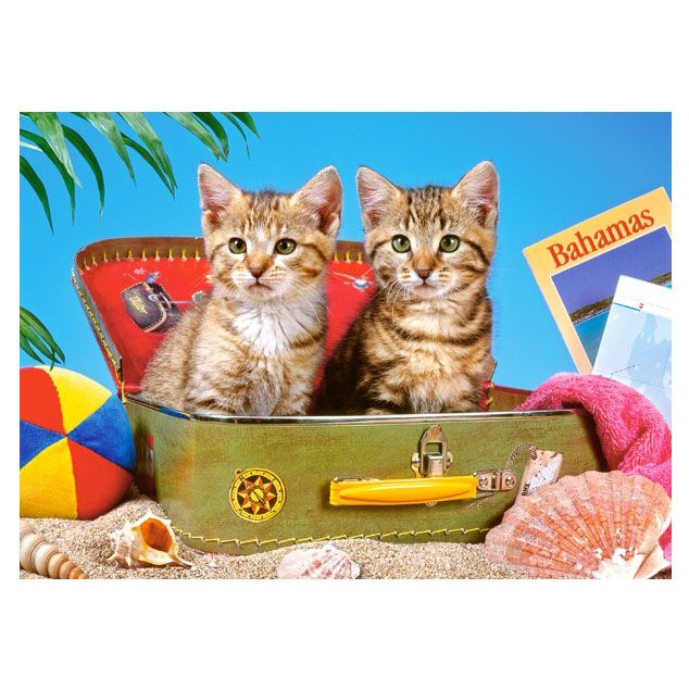 Котета туристи, пъзел 108 чаcти