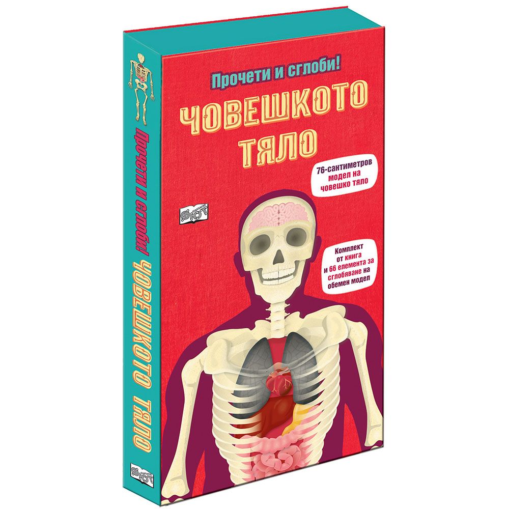 Прочети и сглоби!, Човешкото тяло, Издателство Фют