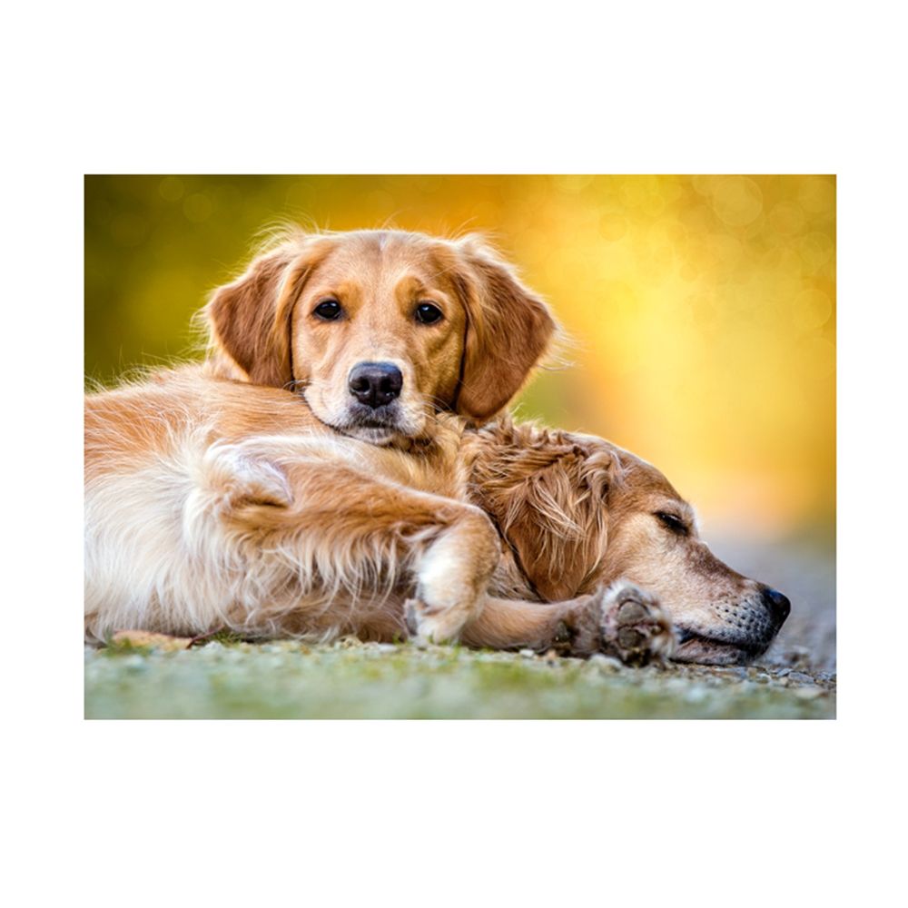 Приятели завинаги, пъзел 260 части