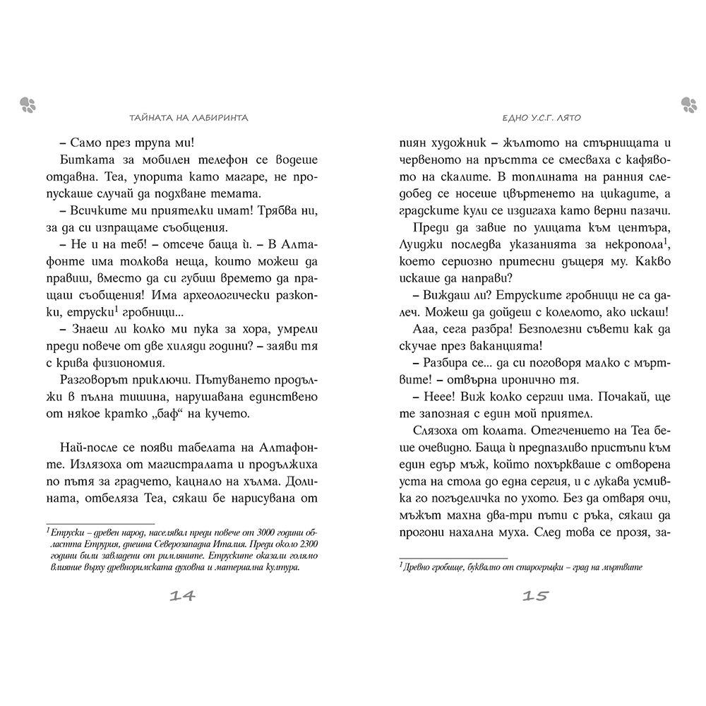 Тайната на лабиринта