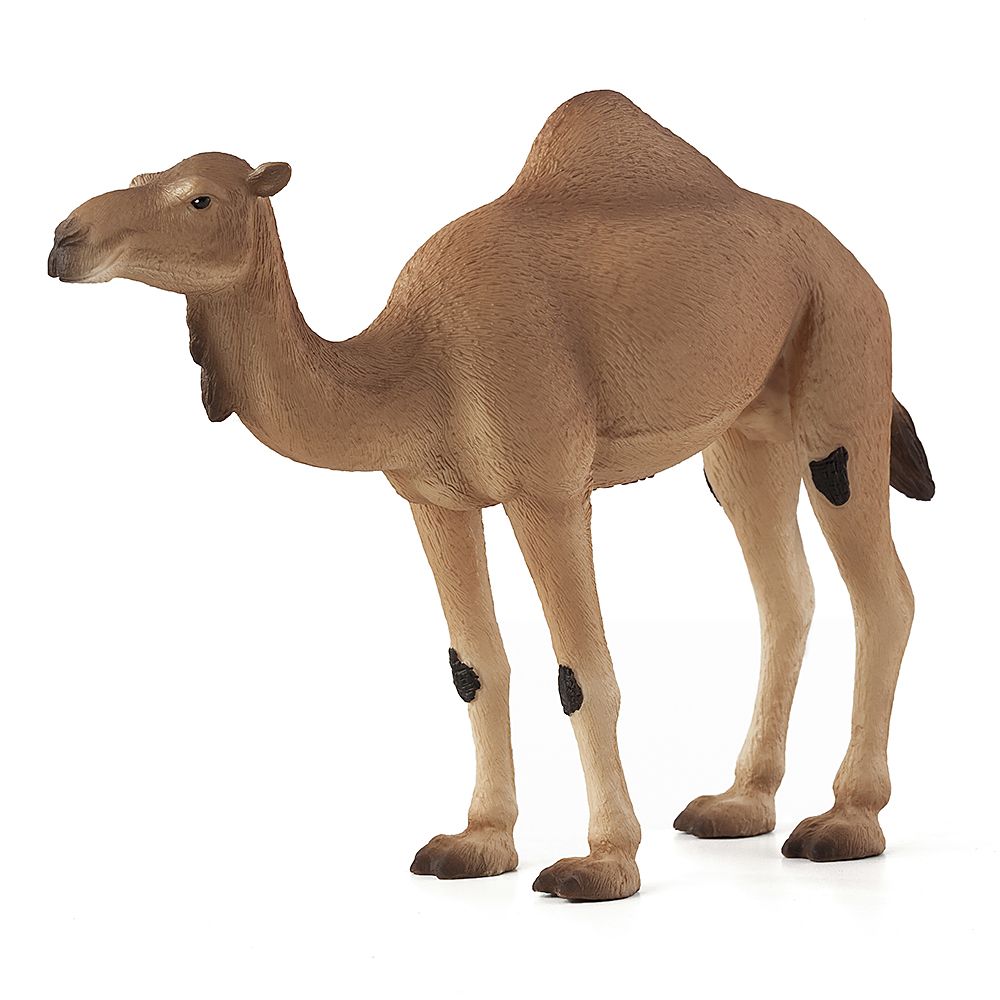 Mojo ANIMAL PLANET, Фигурка за игра и колекциониране, Едногърба камила