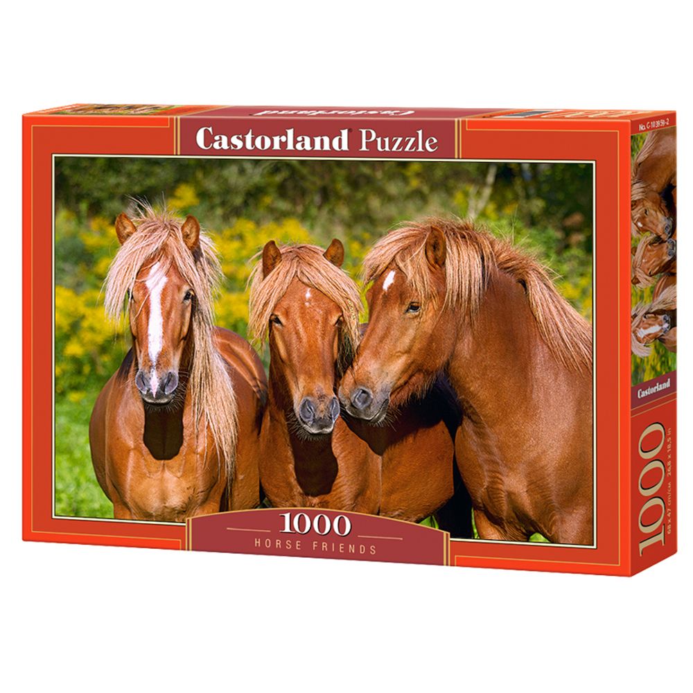 Castorland, Приятели, пъзел 1000 части