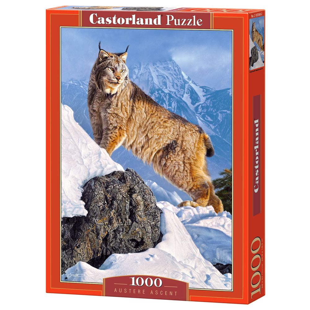 Castorland, Изкачване, пъзел 1000 части
