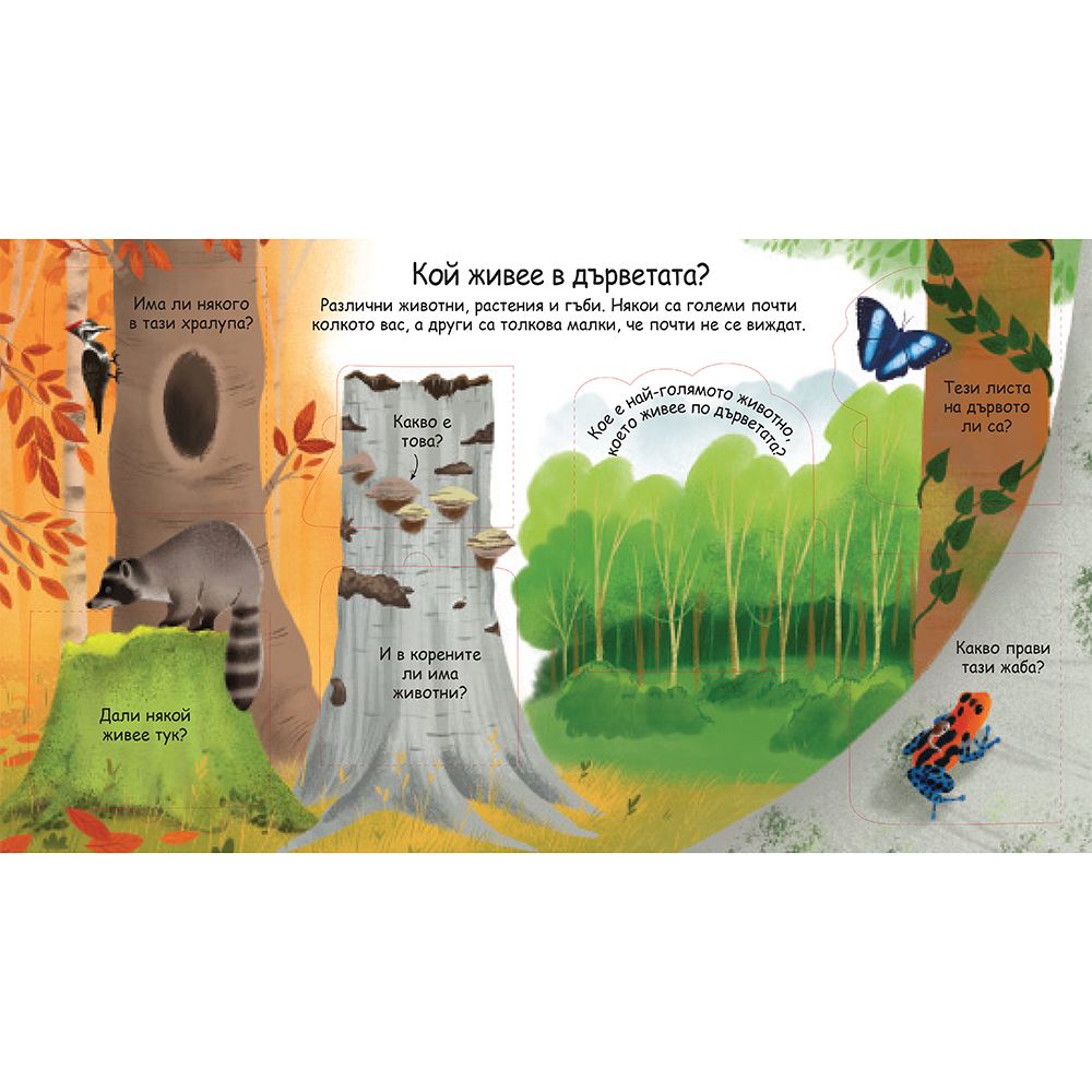 Защо са ни нужни дърветата? Погледни под капачето!