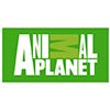 Mojo ANIMAL PLANET