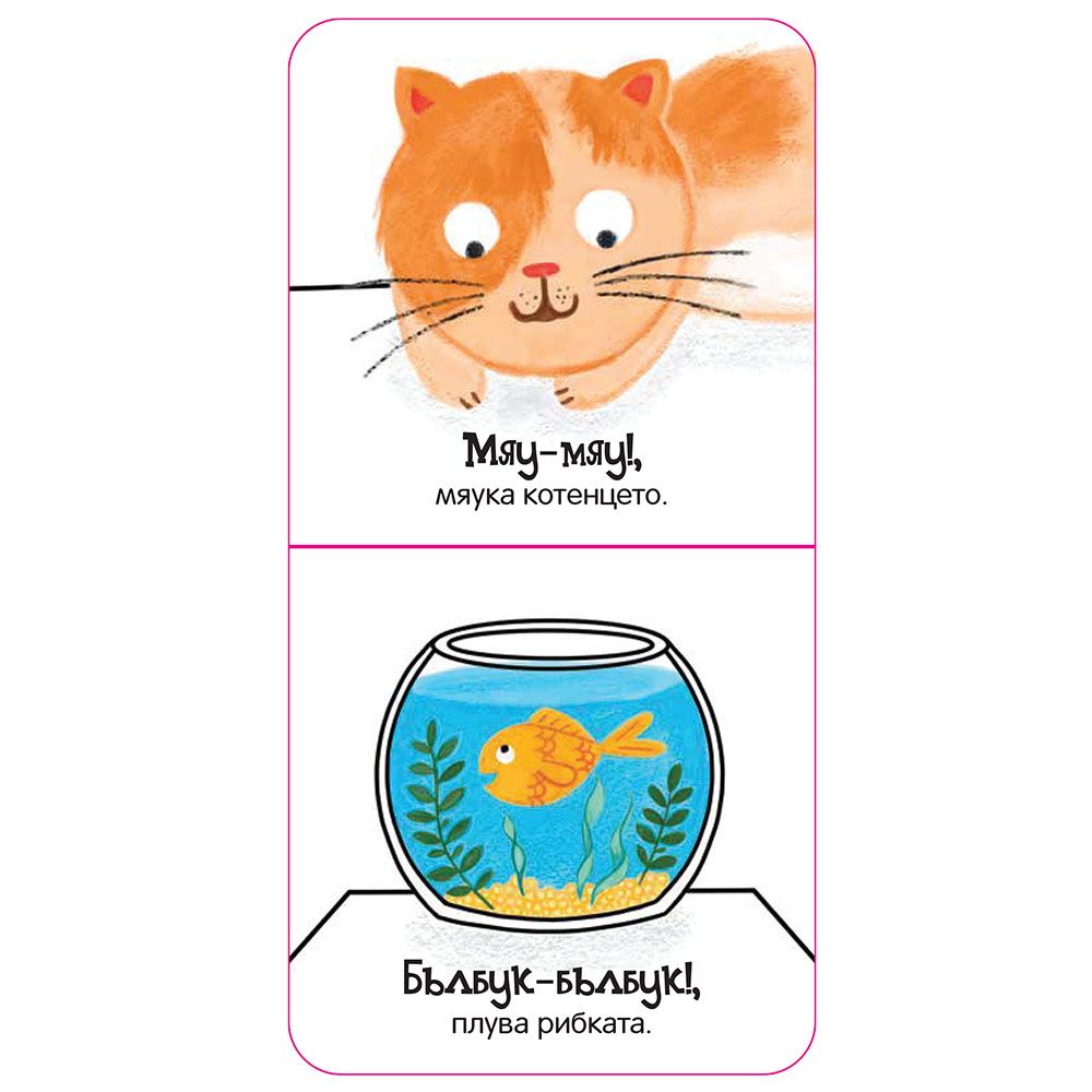 Здравей, мило коте!