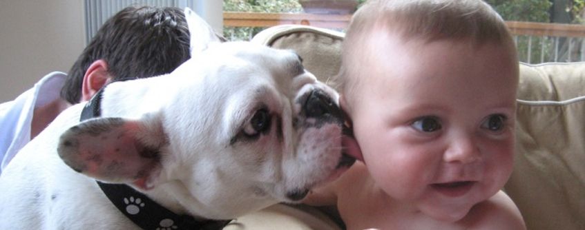 25 доказателства защо малчуганът ви трябва да има домашен любимец