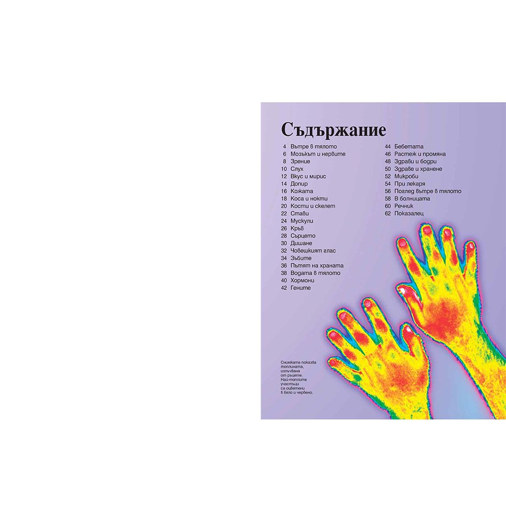 Моята първа енциклопедия за човешкото тяло