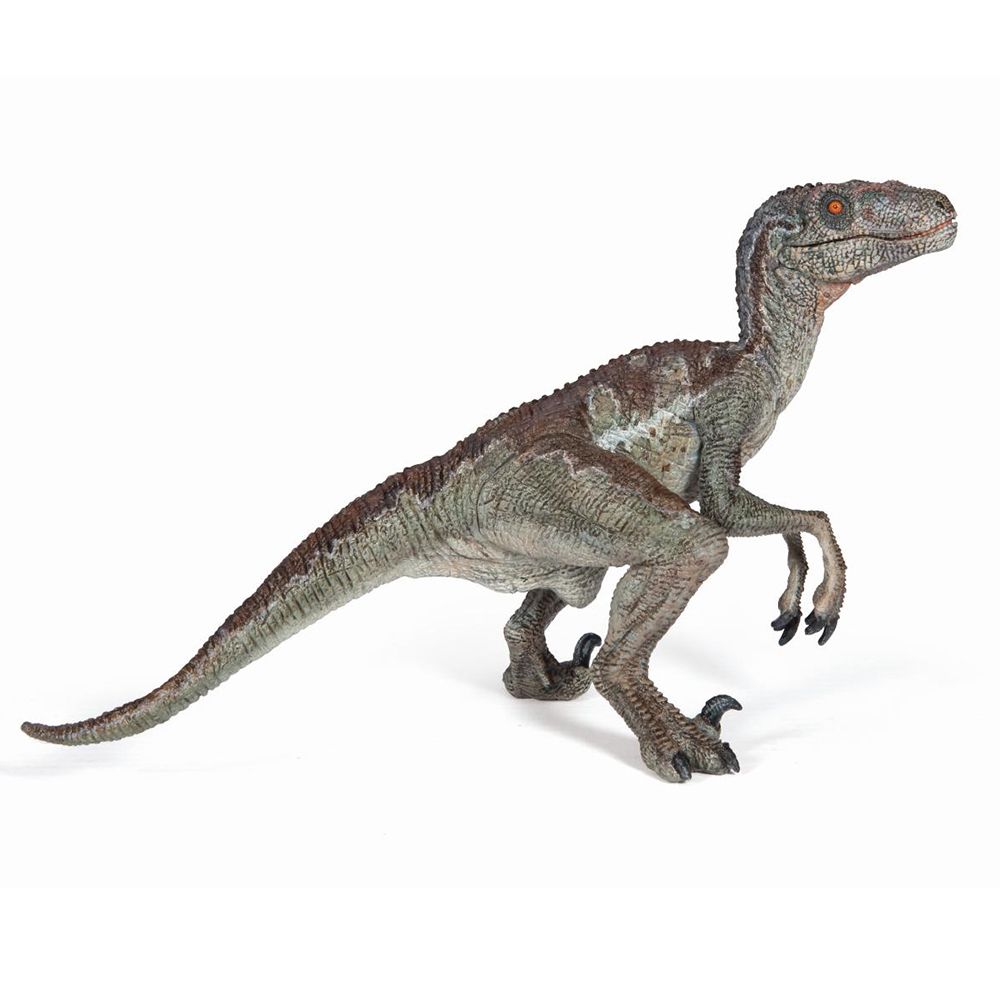 Динозаври, Фигурка за игра и колекциониране, Динозавър, Велоцираптор, Papo