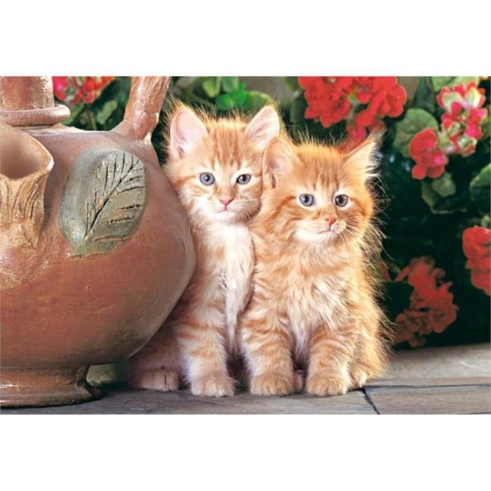 Котета, пъзел 1500 части