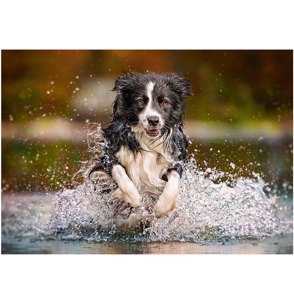 Вкусът на свободата, пъзел 500 части