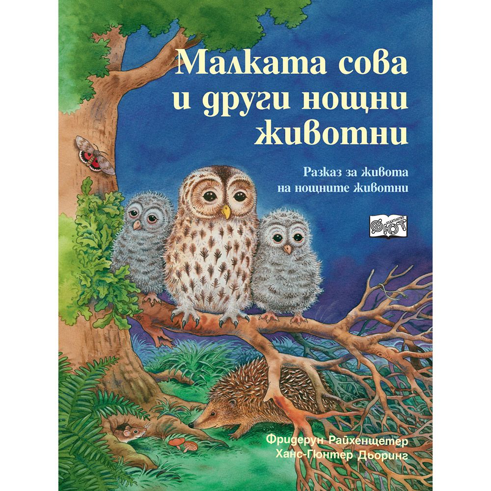 Да се запознаем, Малката сова и други нощни животни, Издателство Фют