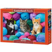 Котенца във магазина, пъзел 1000 части